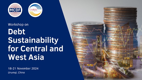 Workshop on Debt Sustainability